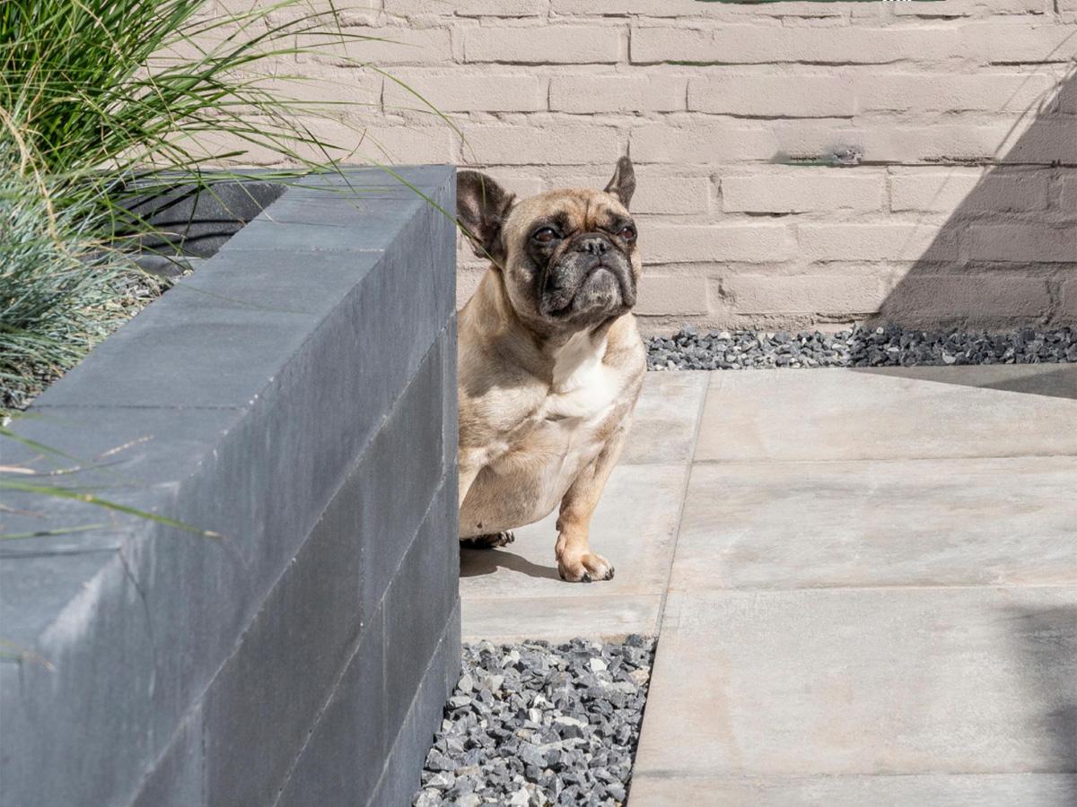 natuurstenen-bestrating_2